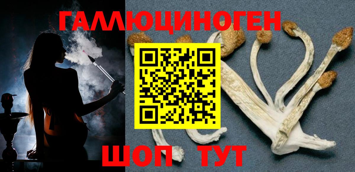 Псилоцибиновые грибы мицелий  Вход с VPN  Галлюциногенные грибы MAGIC MUSHROOMS  даркнет сайт  Вязьма 
